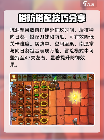 植物大战僵尸：弹坑坚果🔥超神防御攻略！游戏技巧大公开💡截图3