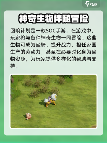 回响计划🔥公测时间曝光，上线倒计时❗截图4