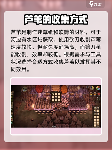 饥荒新家园芦苇有什么用介绍截图2