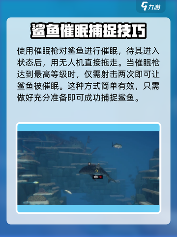 潜水员戴夫鲨鱼捕捉🔥手游终极攻略🎉截图4