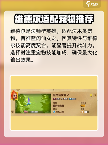 万龙觉醒🔥维德尔宠物最强搭配方案🎉截图2