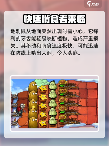植物大战僵尸🔥矿工僵尸杂交版来袭！僵尸迷必玩🎉截图3