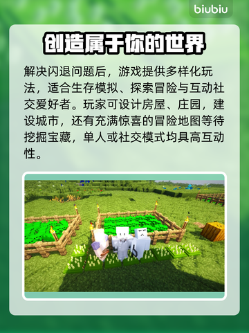 我的世界🔥闪退？用这加速器秒解决！🚀截图5