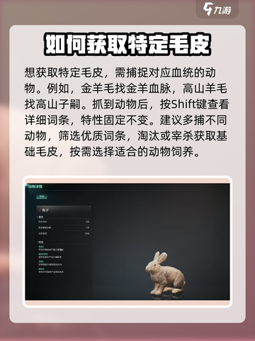 七日世界🔥金羊毛获取途径大揭秘！💎截图6