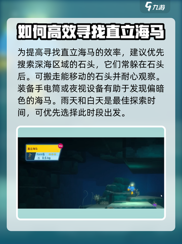 潜水员戴夫直立海马在哪介绍截图6
