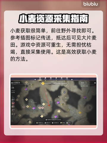 雾锁王国🔥小麦获取地点大揭秘！💎截图2