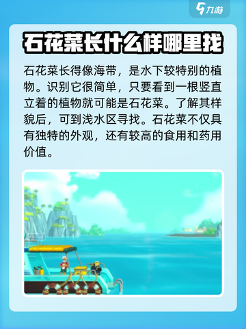 潜水员戴夫石花菜在哪介绍截图3