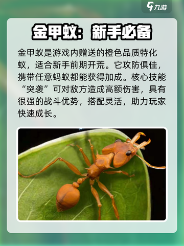 小小蚁国最强蚂蚁排行🔥助你称霸游戏🔥截图2