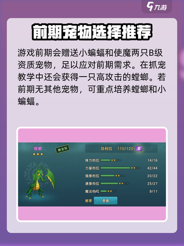 魔力宝贝复兴🔥前期最强宠物推荐✨截图2