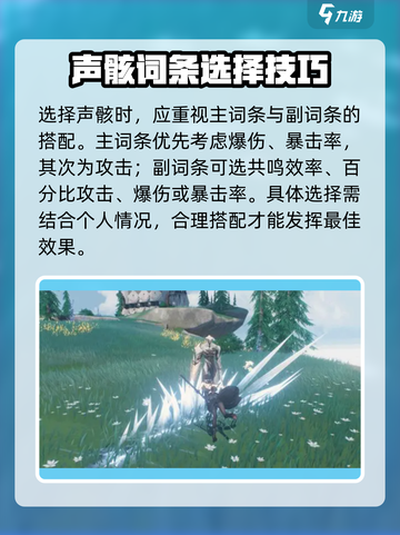 🎮鸣潮散华声骸选哪个？选对才不坑！💥截图4