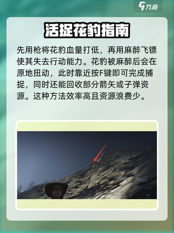 七日世界豹子怎么抓介绍截图3