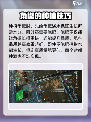 创造吧我们的星球🔥角椒种植与获取攻略来啦！截图4
