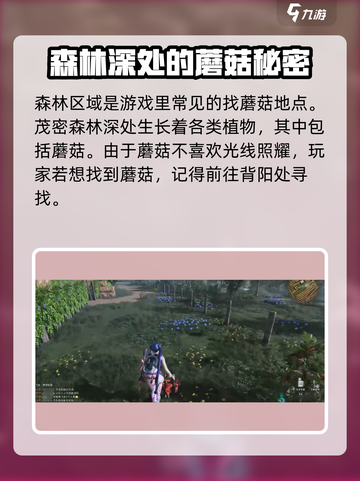 七日世界蘑菇去什么地方采集介绍截图4