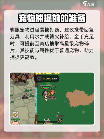 英勇之地怎么抓宠物的介绍截图4
