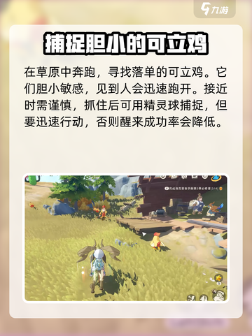 洛克王国世界可立鸡怎么样介绍截图4