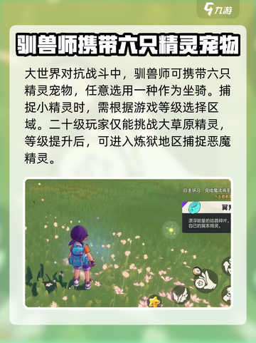 洛克王国手游怎么玩介绍截图3