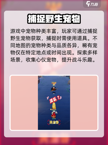 灵兽大冒险宠物怎么获得介绍截图2