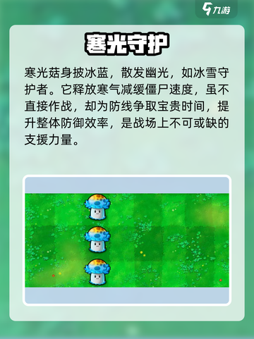 🍄植物大战僵尸：寒光菇太离谱！截图2