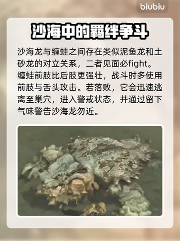 怪物猎人：荒野缠蛙🔥打法技巧全解析！截图3
