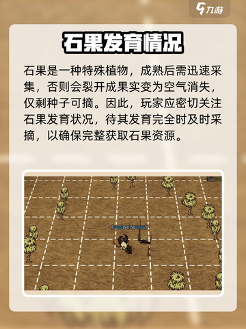 饥荒联机版石果采摘消失怎么办介绍截图2