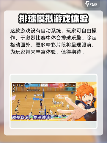 排球少年手游配置要求💥你的设备能流畅运行吗？ Volleyball🔥截图3