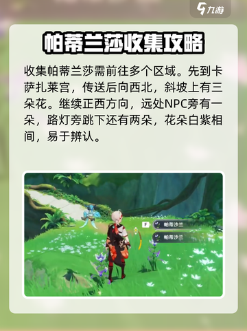 原神🔥帕蒂莎兰采集位置全解密！💎截图2