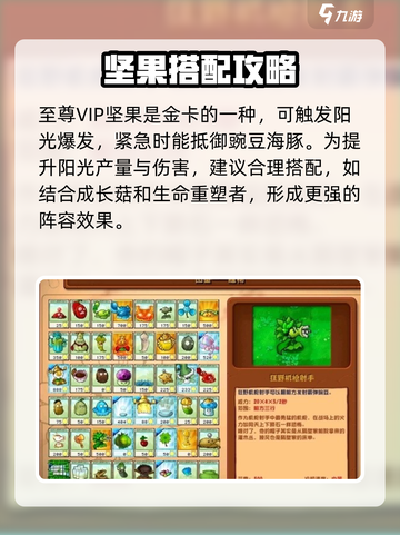 植物大战僵尸杂交版🔥伤害排行榜TOP1竟是它！ DAMAGE💥截图3
