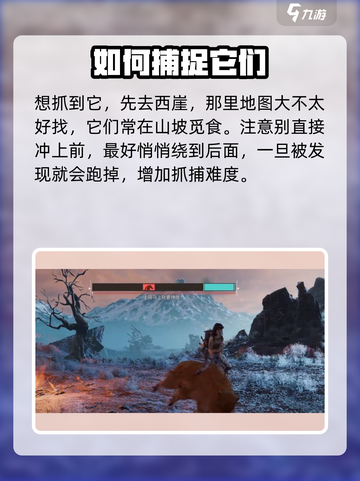 代号56沙鼠吃什么介绍截图4