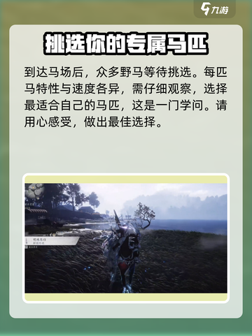 燕云十六声🔥坐骑抓捕超全攻略✨截图3