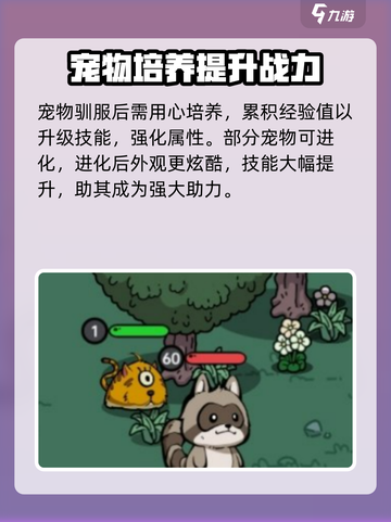 英勇之地🔥宠物附身方法大揭秘！💎截图4