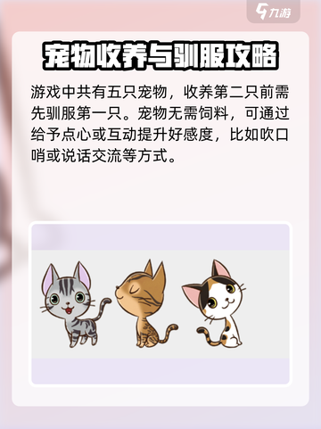 牧场物语重聚矿石镇宠物如何获取介绍截图3