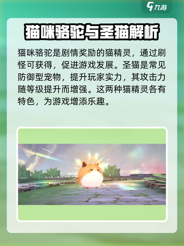 森之国度🔥紫卡超详细解析来啦！✨截图2