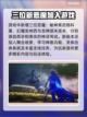 真女神转生5🔥新复仇恶魔全介绍✨截图4