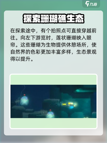 潜水员戴夫羽状珊瑚获得介绍介绍截图4