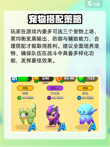 砰砰法师宠物推荐介绍截图5