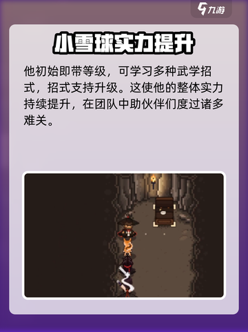 大江湖之苍龙与白鸟小雪球是谁介绍截图3