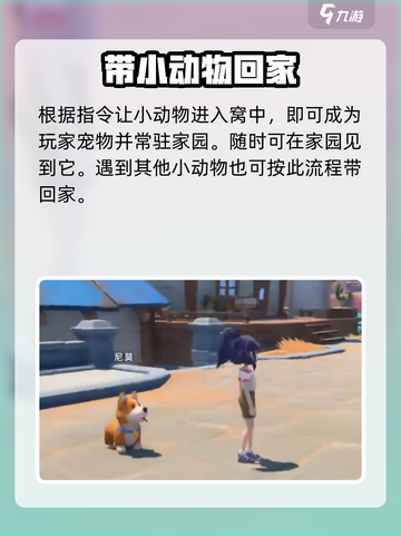 沙石镇时光🔥尼莫的家在哪？想回家的尼莫怎么办！截图5