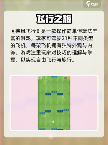 🌪疾风飞行玩法大揭秘！超刺激体验🔥截图2