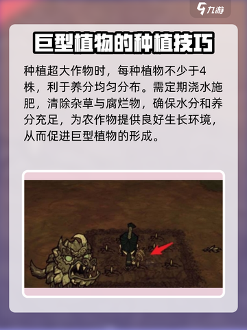饥荒联机版巨型农作物如何种植介绍截图3