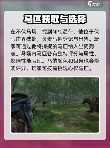 燕云十六声怎么抓马介绍截图2
