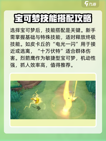 宝可梦大集结蜥蜴王上线了吗介绍截图3