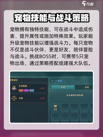 魔力宝贝复兴🔥宠物系统全面解析！💎截图4
