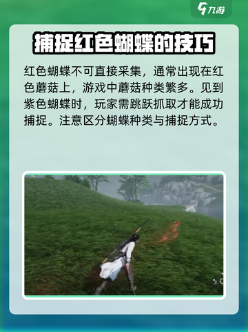 燕云十六声🔥抓蝴蝶攻略💎蝶舞翩跹等你来捉！截图4