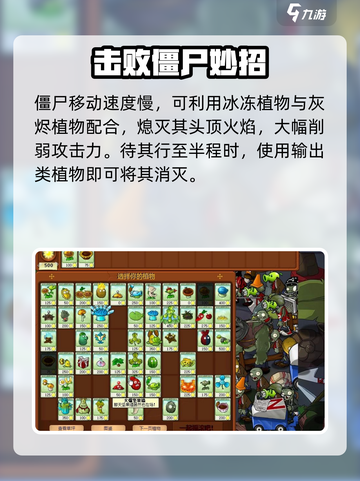 🔥植物大战僵尸火焰迪斯科僵尸太燃了！💥截图3