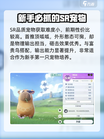 酷比大陆🔥宠物培养推荐来啦！✨截图2