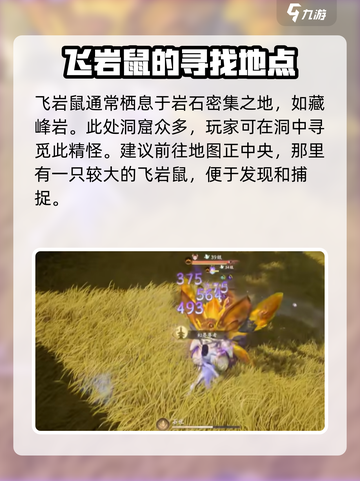 仙剑世界飞岩鼠怎么抓介绍截图2