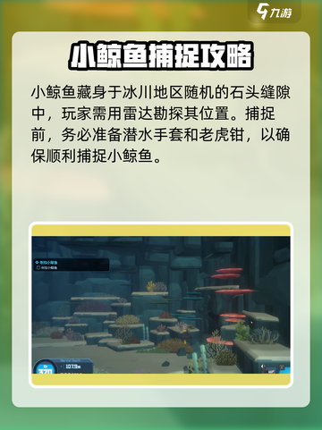 潜水员戴夫小鲸鱼在哪介绍截图2