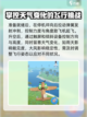 飞机模拟高手好玩吗介绍截图4