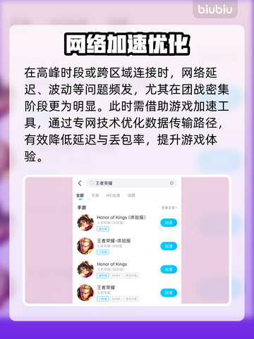 🎮王者荣耀掉帧？用加速工具拯救你的排位！截图3