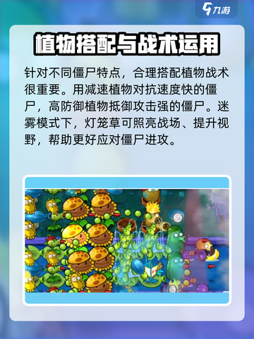 植物大战僵尸杂交版🔥迷雾模式让你欲罢不能！游戏技巧大公开🎉截图4